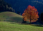 Austria Triebener Tauern